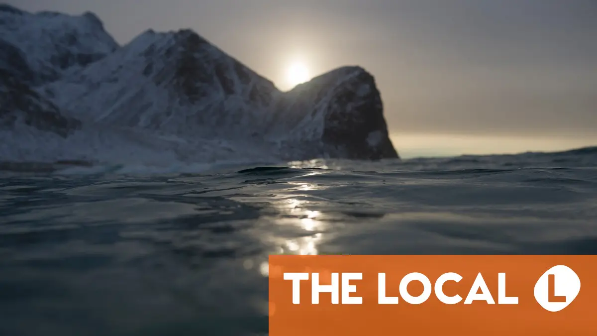 'A win for nature': Norway to postpone deep-sea mining for four years