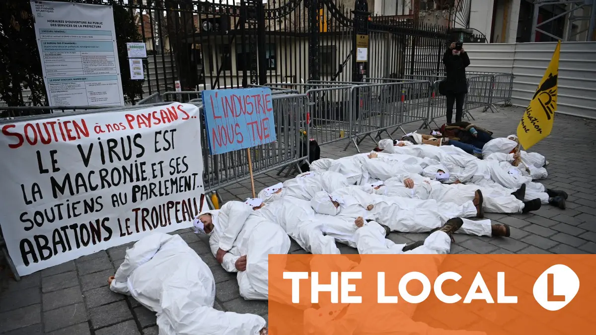 French cattle cull protesters danger turning into the brand new anti-vaxxers