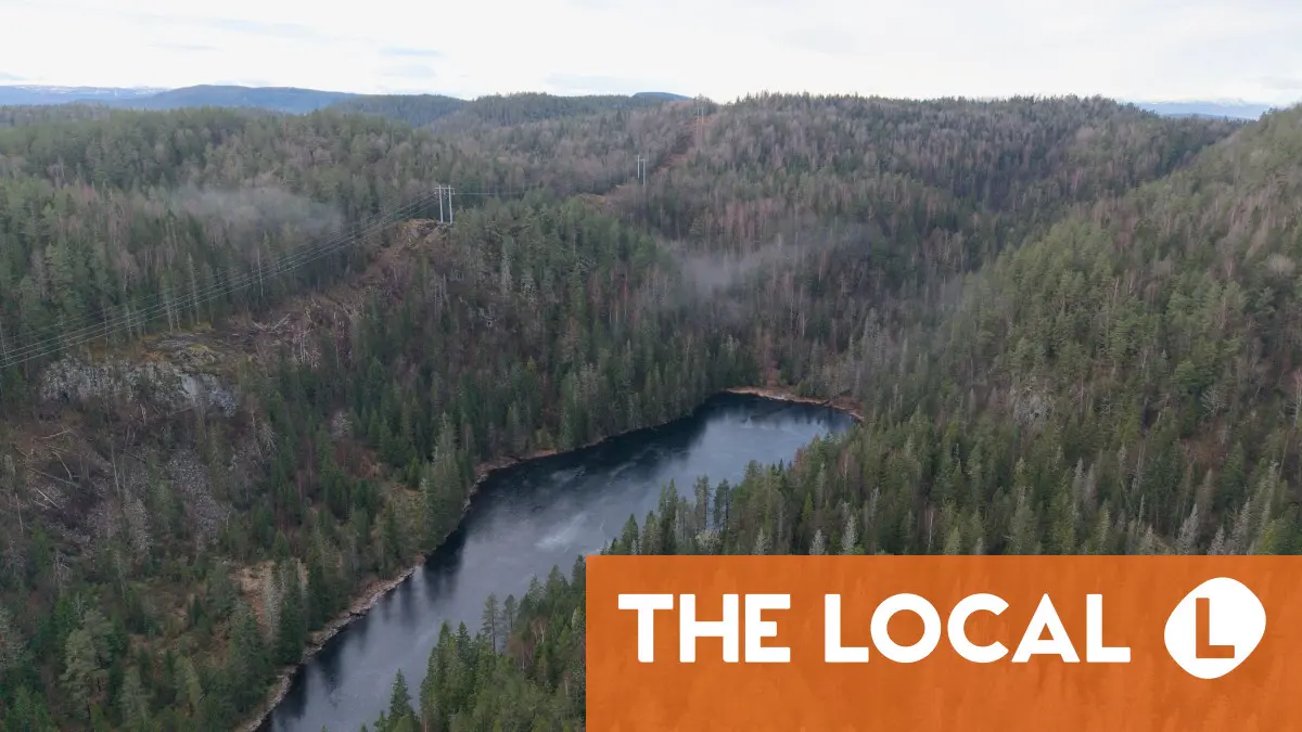 Beetles block mining of Europe's biggest rare earths deposit in Norway