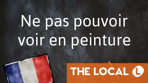 French Phrase of the Day: Ne pas pouvoir voir en peinture
