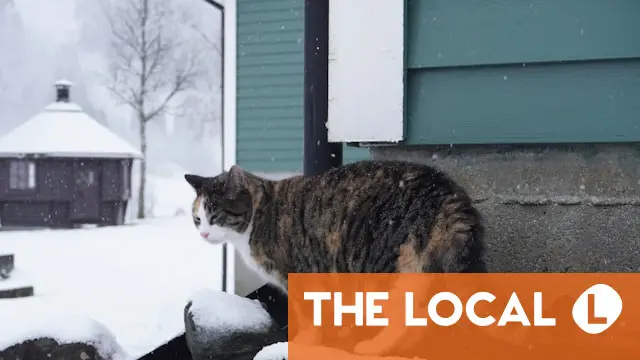 KEY POINTS: What changes about life in Norway in January 2026?