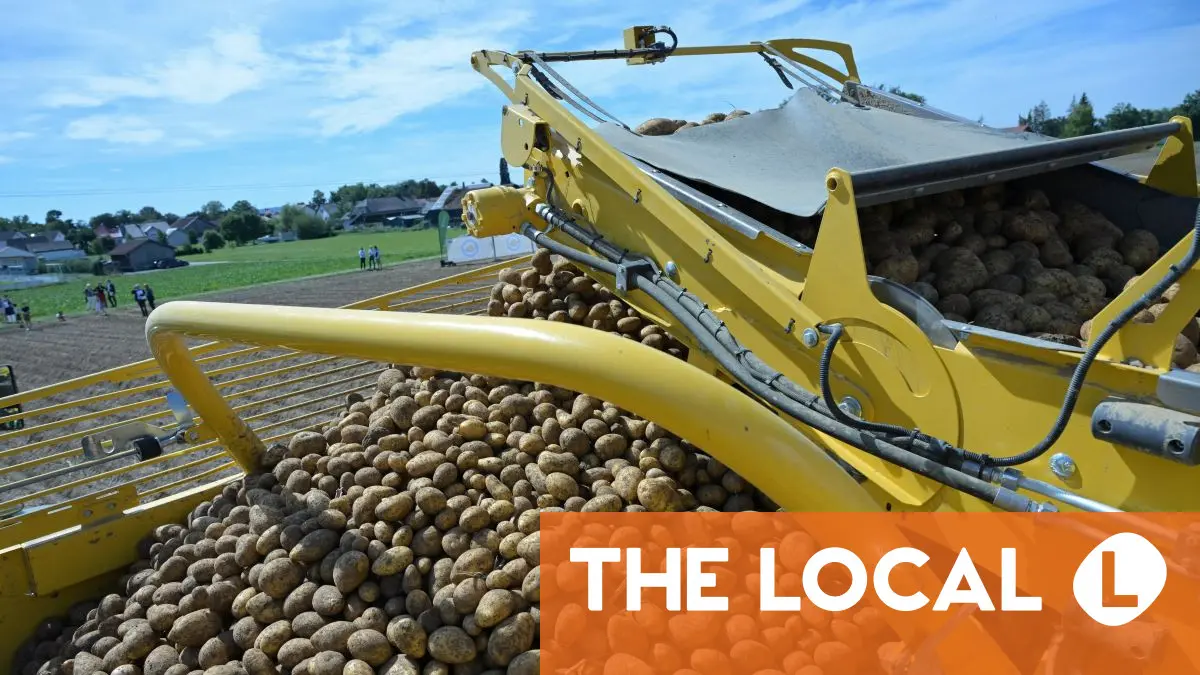 Why 4,000 tonnes of free potatoes are on their way to Berlin