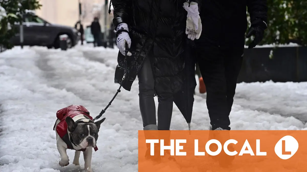 'White week' to 'health shirt': Italian winter vocabulary you'll actually use