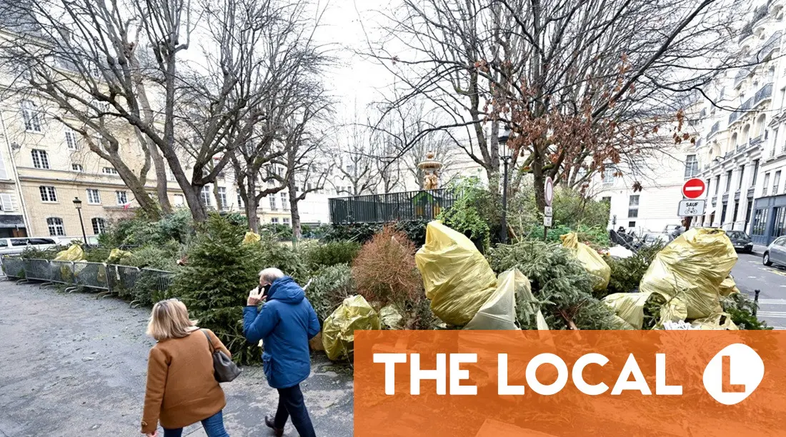 Tree disposal, 2026 changes, and the winter sales: 6 essential articles for life in France