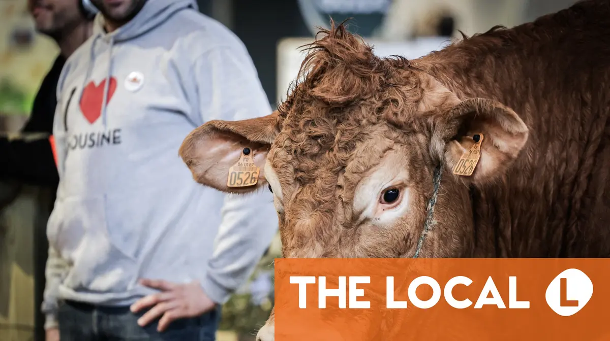 Cows banned from iconic Paris farm show over virus fears