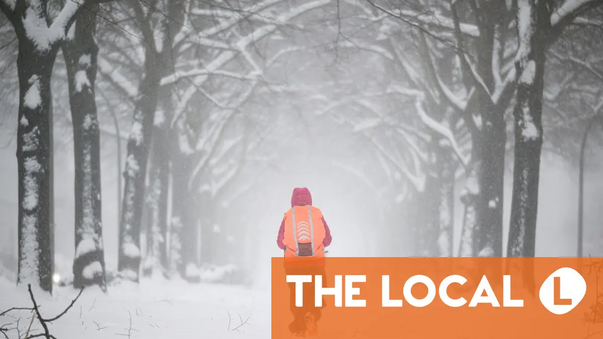 Inside Germany: A 'pig-cold' start to the year, Bert and Ernie traffic lights and the hour of birds