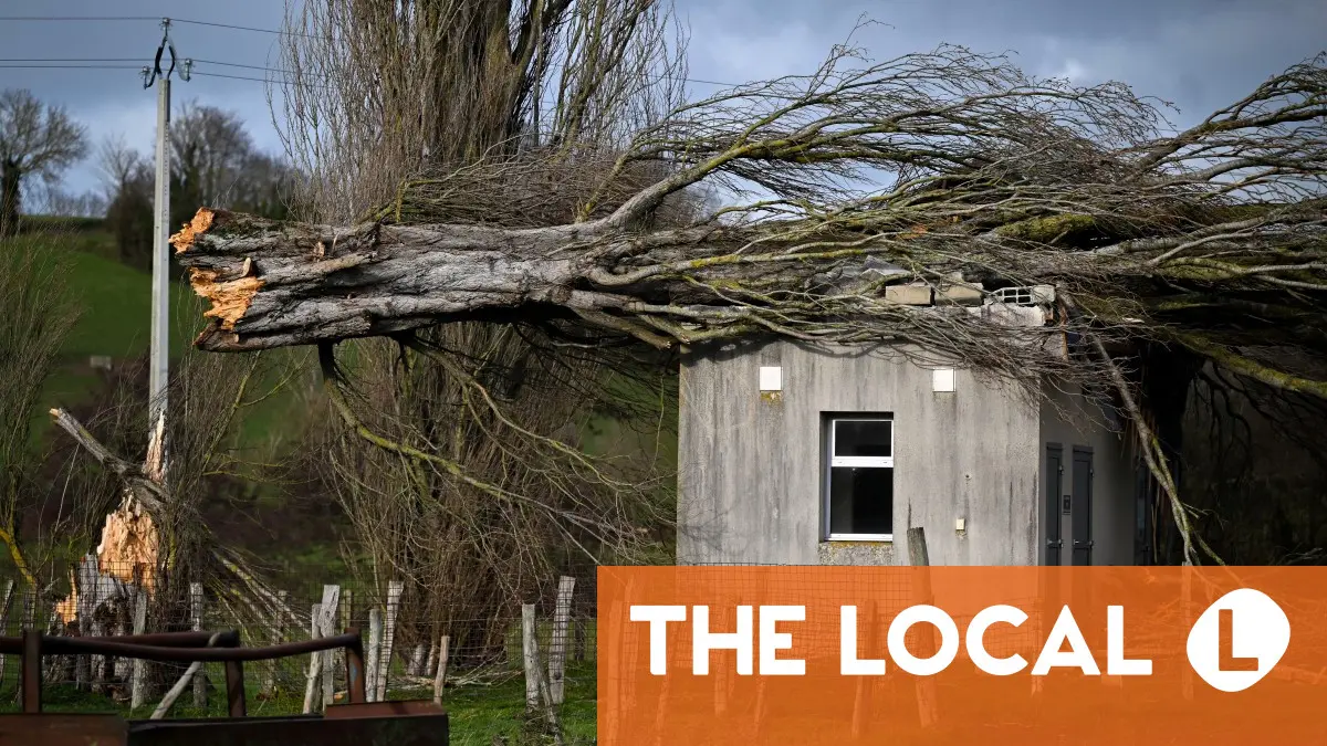 Storms spark travel mayhem and power cuts in northern Europe