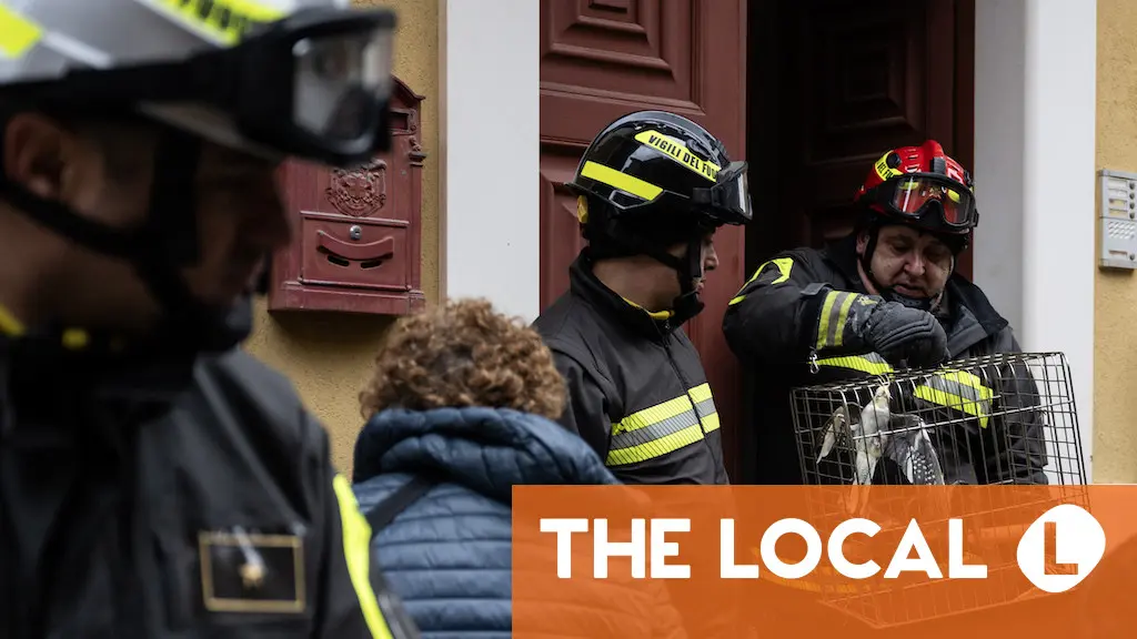 Firefighters save pets from landslide-hit Sicilian town