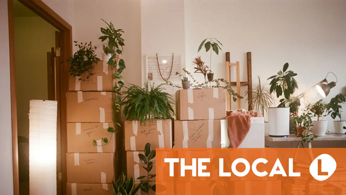 'Severely discriminated against': Why do skilled immigrants leave Germany?