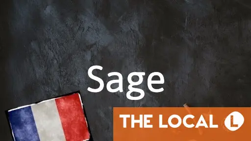 French word of the day: Sage