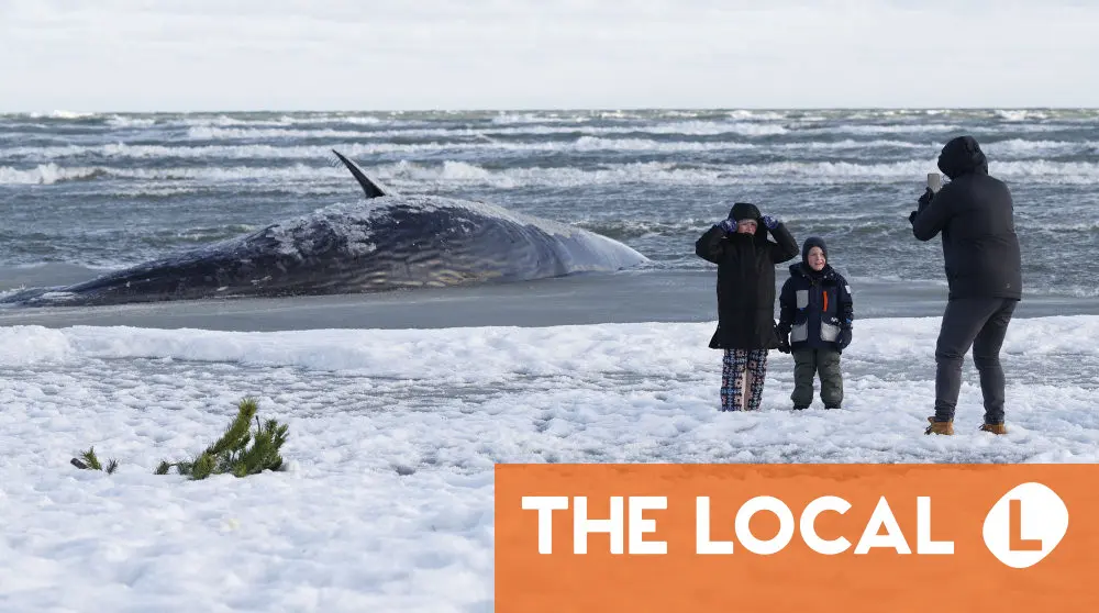 We're sorry. This image does not have any alternative text.