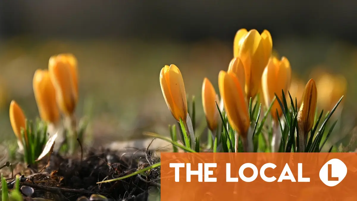 'False spring' arrives in Germany with temperatures up to 21C