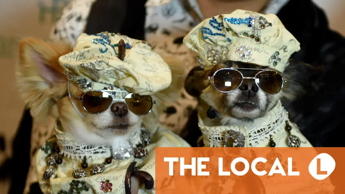 Are emotional support animals recognised in France?