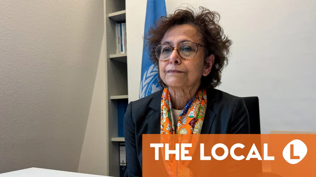 UN expert warns of 'shrinking space' for free speech in Germany