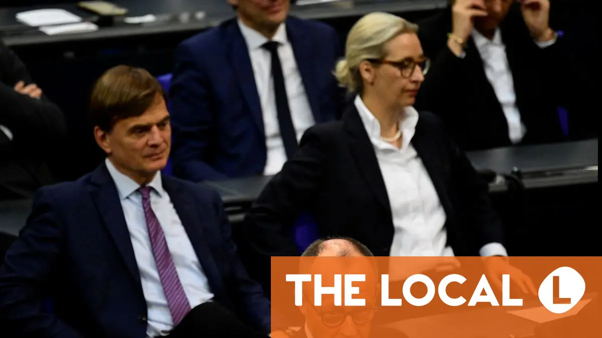 German court rules intelligence service may not label AfD 'extremist' for now