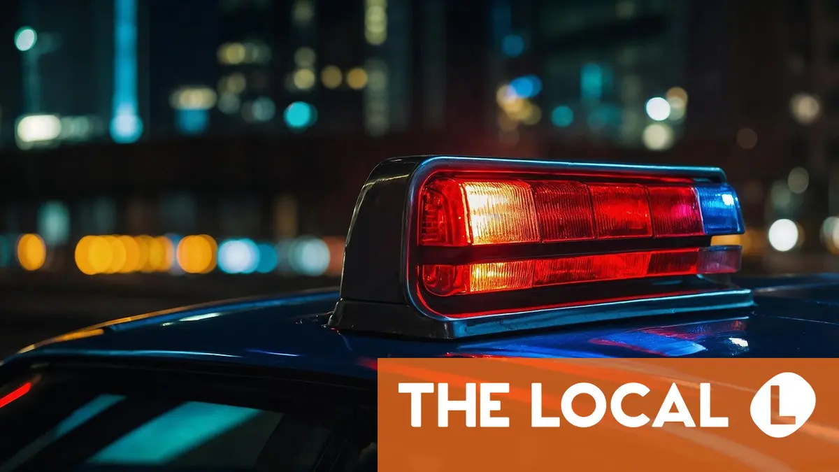 'Here we speak German': Swiss police scold foreign driver for speaking English