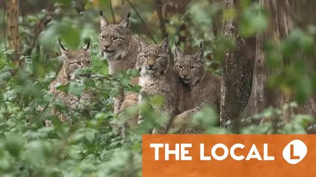 We're sorry. This image does not have any alternative text.