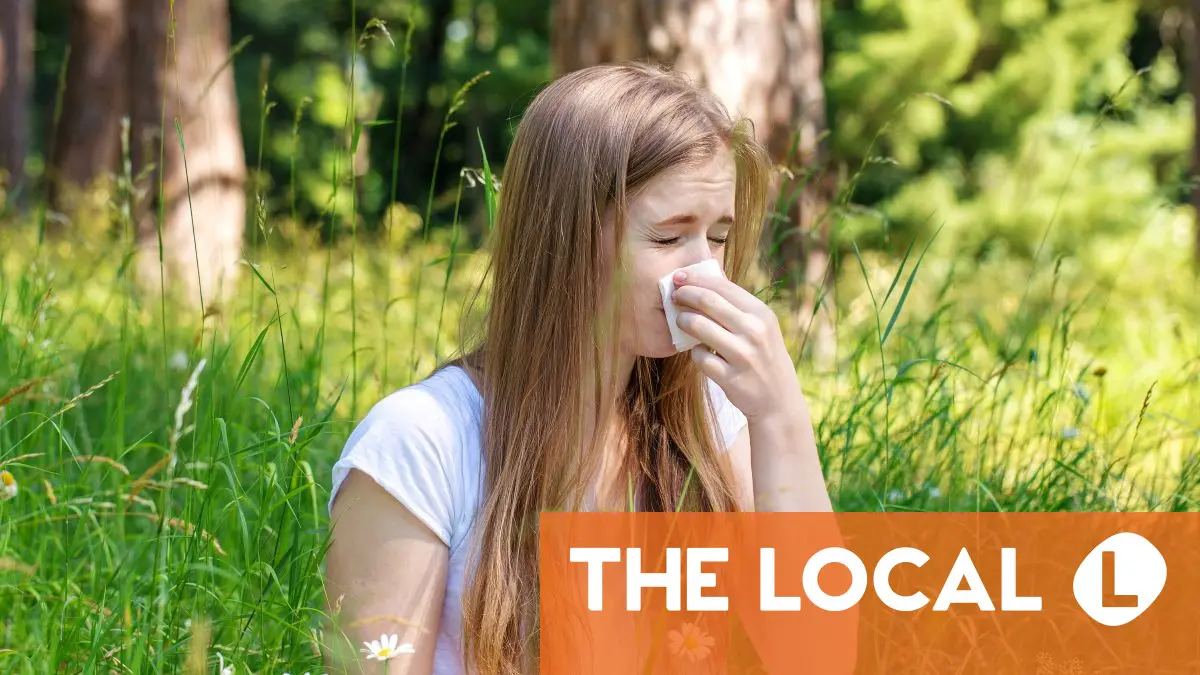 Allergy season: What to ask for in German pharmacies