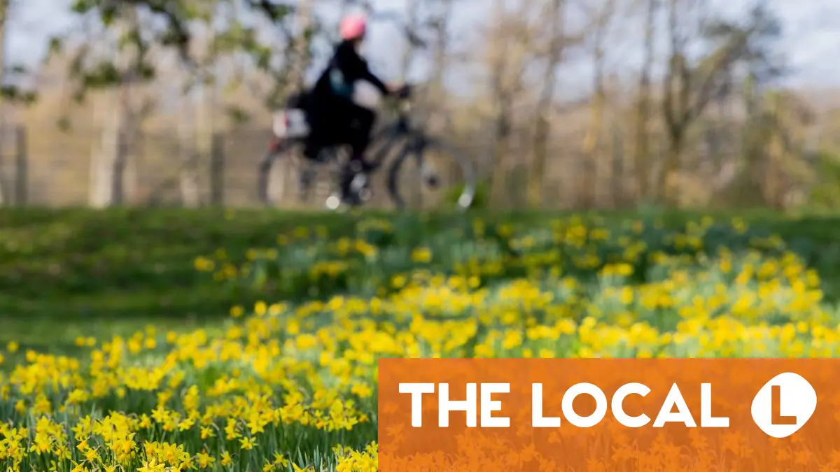 Germany jumps fives places in world happiness rankings