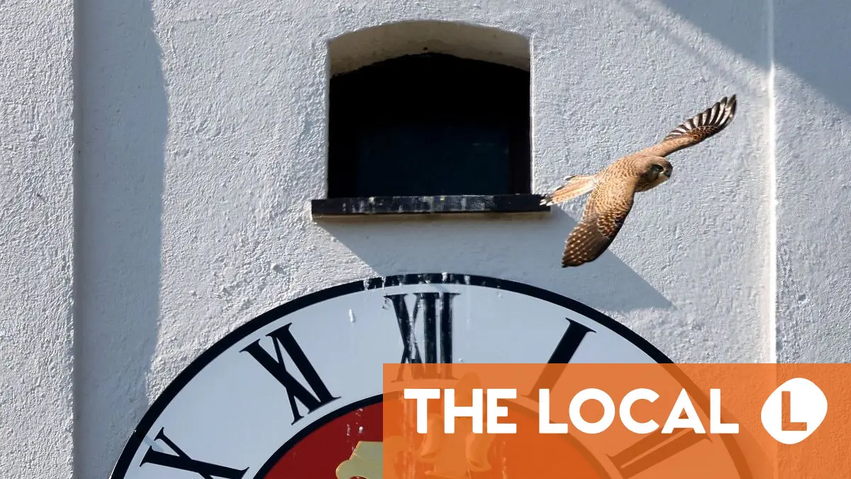 Everything that changes in Germany in April 2026