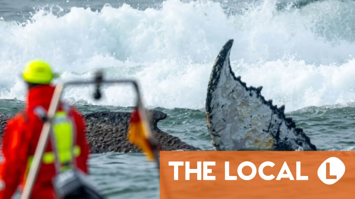 Today in Germany: A roundup of the latest news on Tuesday