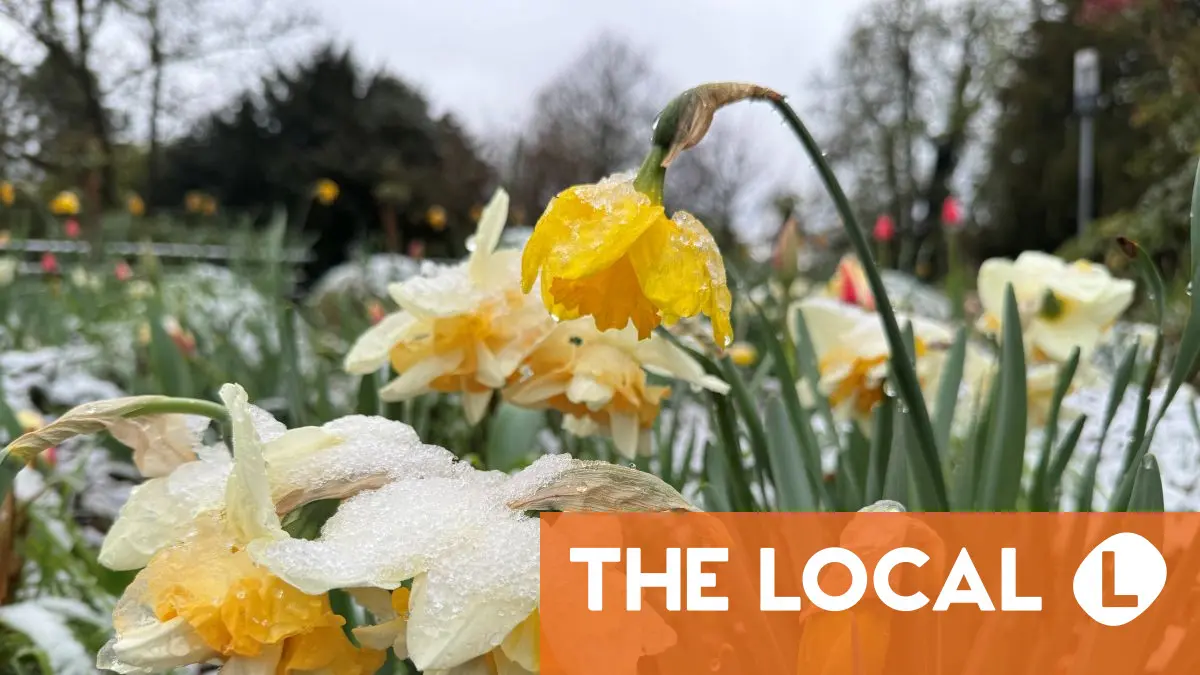 Inside Germany: Easter snowfall and protests against digital violence