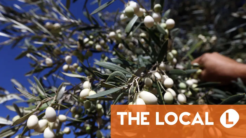 Allergy season: What to ask for in Italian pharmacies