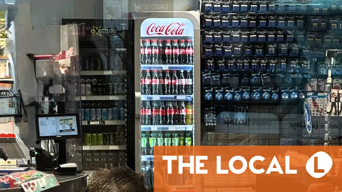 Police chase boar living high on the hog in Berlin mall