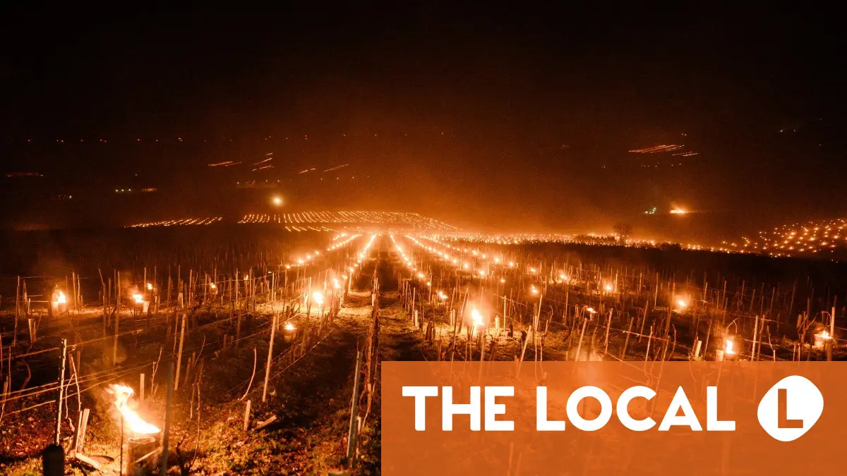 IN PICTURES: French winemakers battle spring freeze