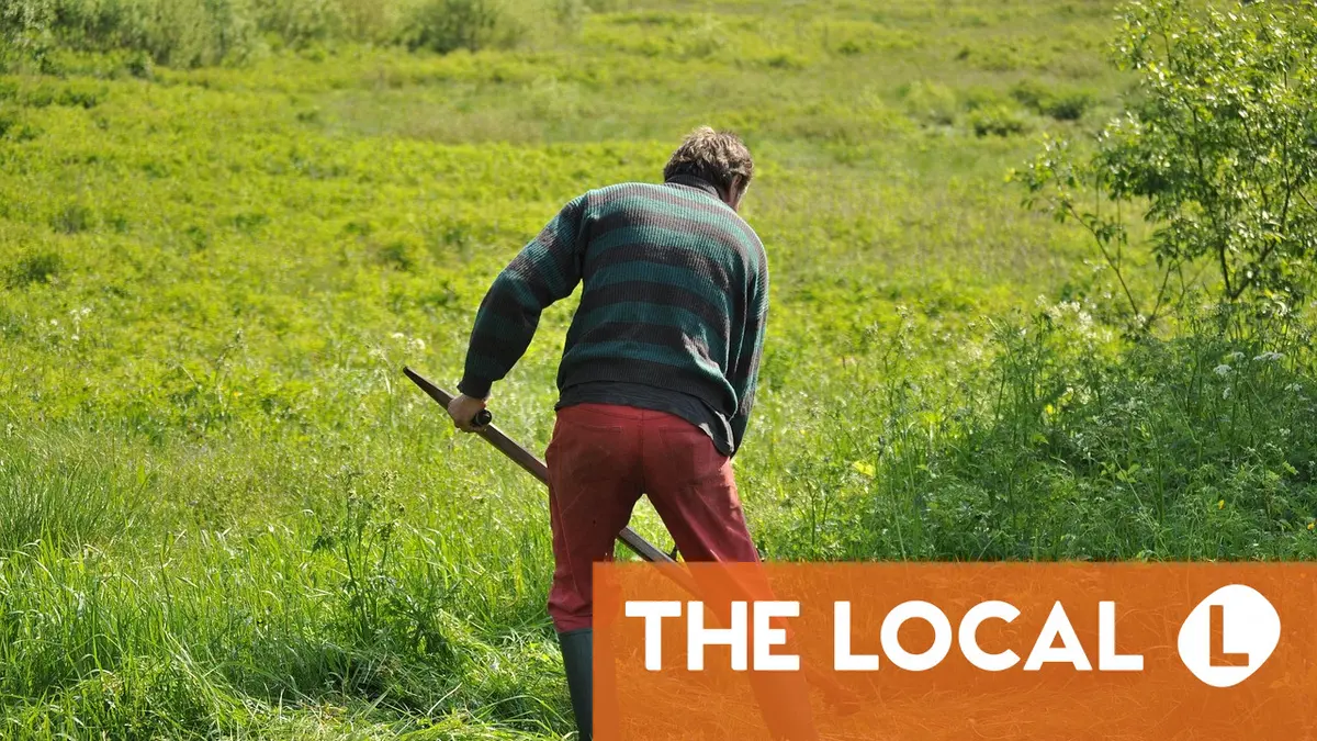 Speed cameras and minimum wages: The key results in Swiss canton referendums