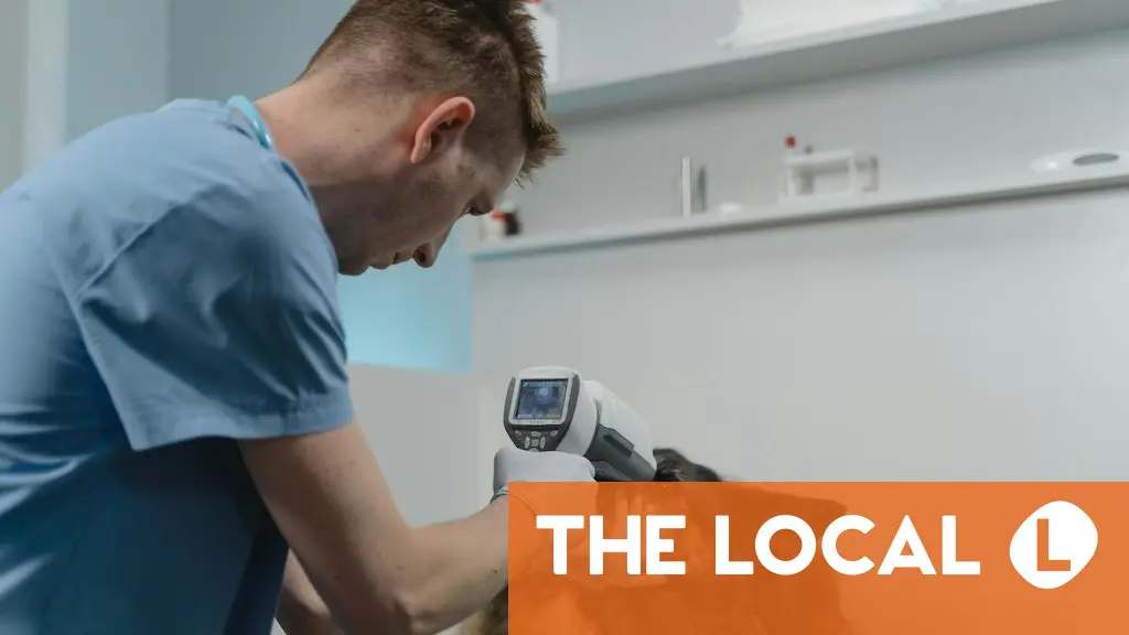 The regions in Spain where you can deduct vet bills in your tax return