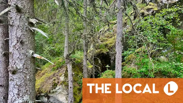 Rare-earth reserves at big Norway site revised upwards