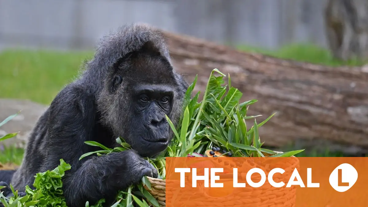 Today in Germany: A roundup of the latest news on Monday