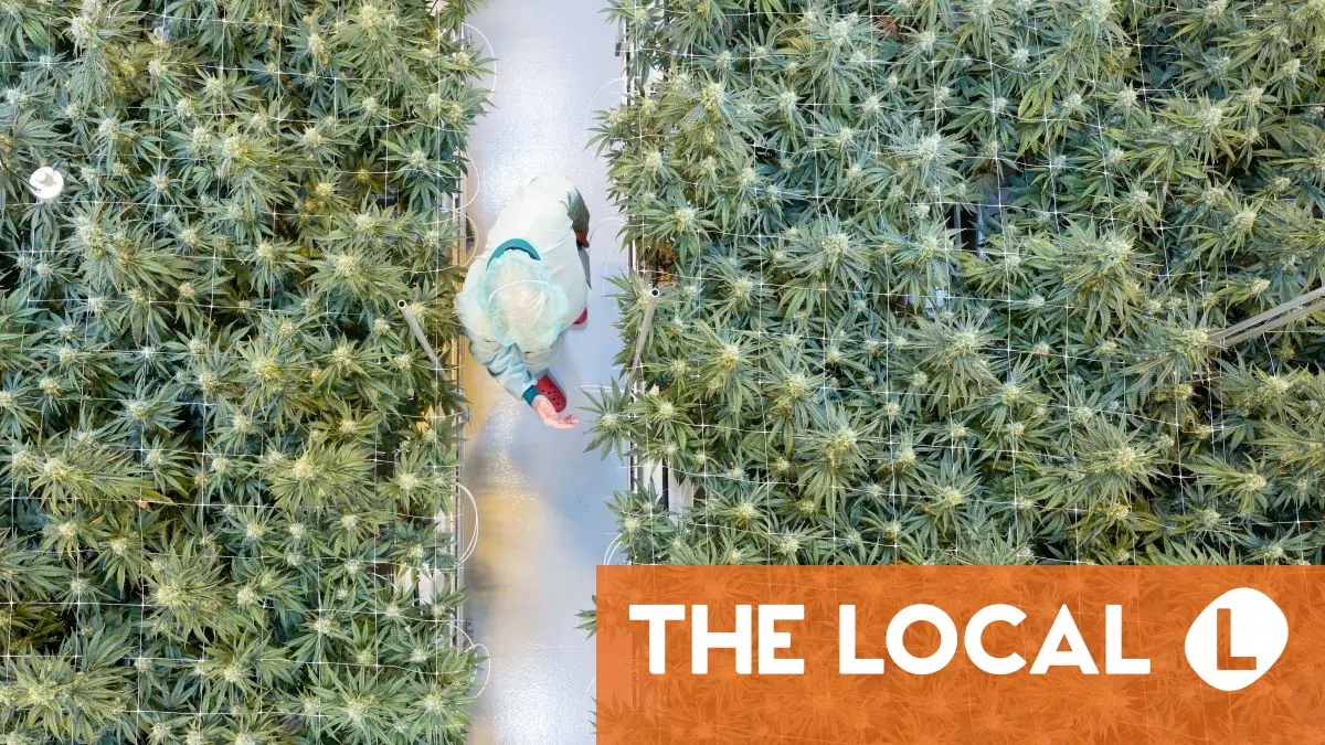 Today in Germany: A roundup of the latest news on Wednesday