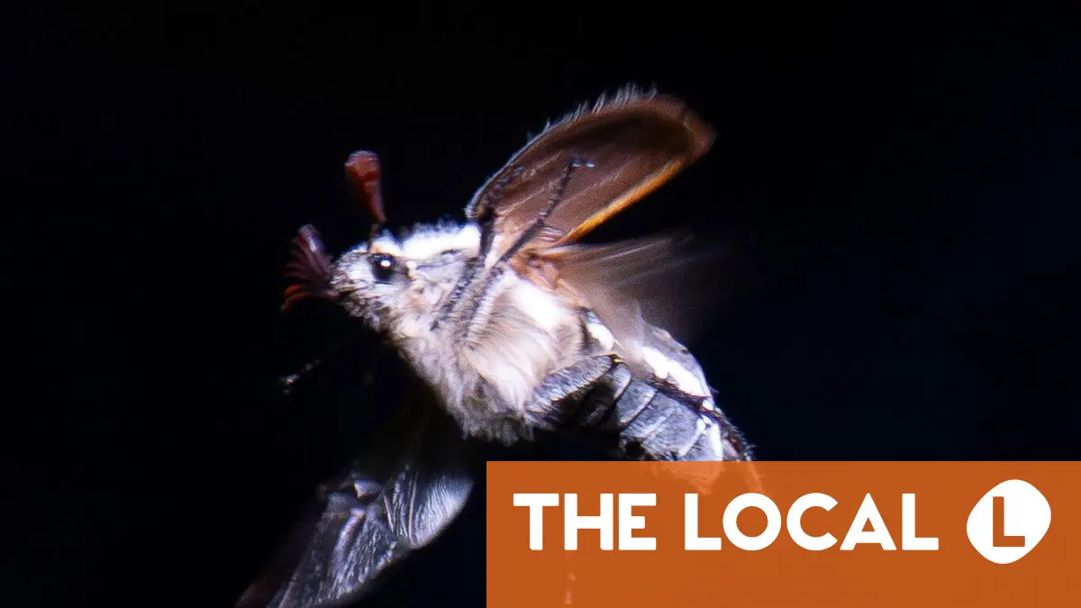 Today in Germany: A roundup of the latest news on Monday