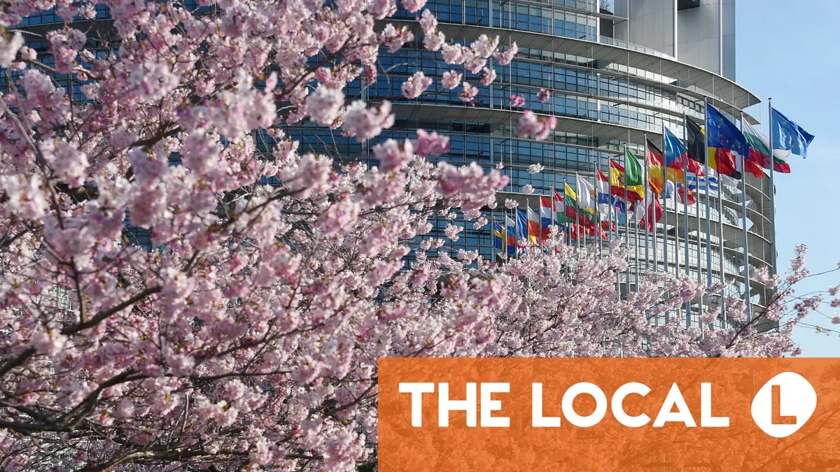 Allergies, taxes and and hair phrases: 6 essential articles for life in France