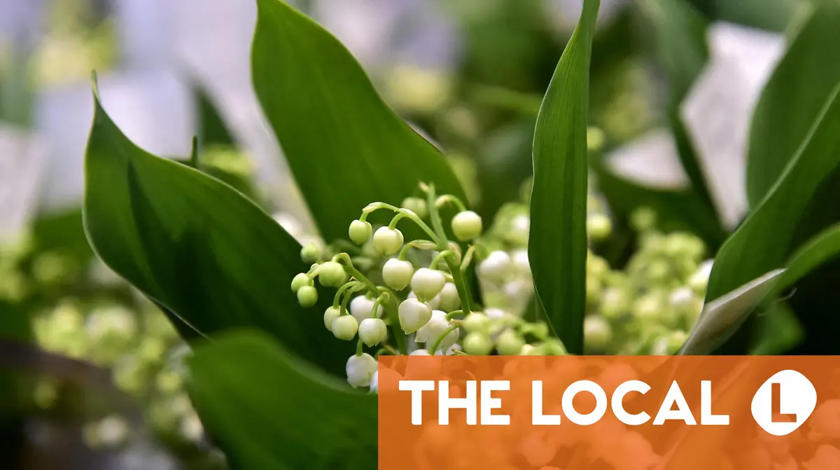 What’s happening in France this week