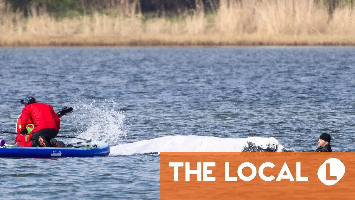 'Free Timmy!': How a beached whale has gripped and divided Germany