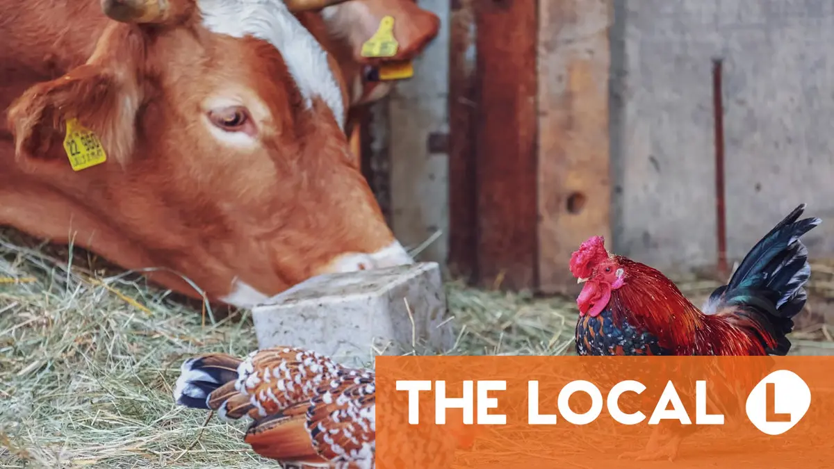 A roundup of the latest news on Tuesday