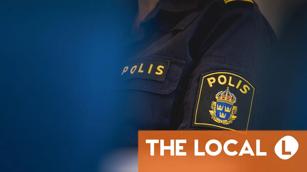 Swedish police asked to speed up deportation of 'intelligent and articulate' software engineer