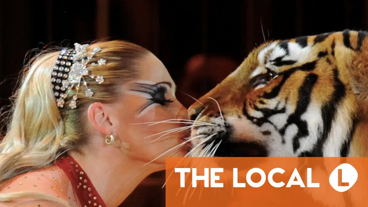 'Tiger Queen' under scrutiny after police kill big cat near Leipzig