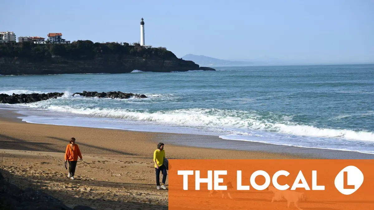 6 essential articles for life in France