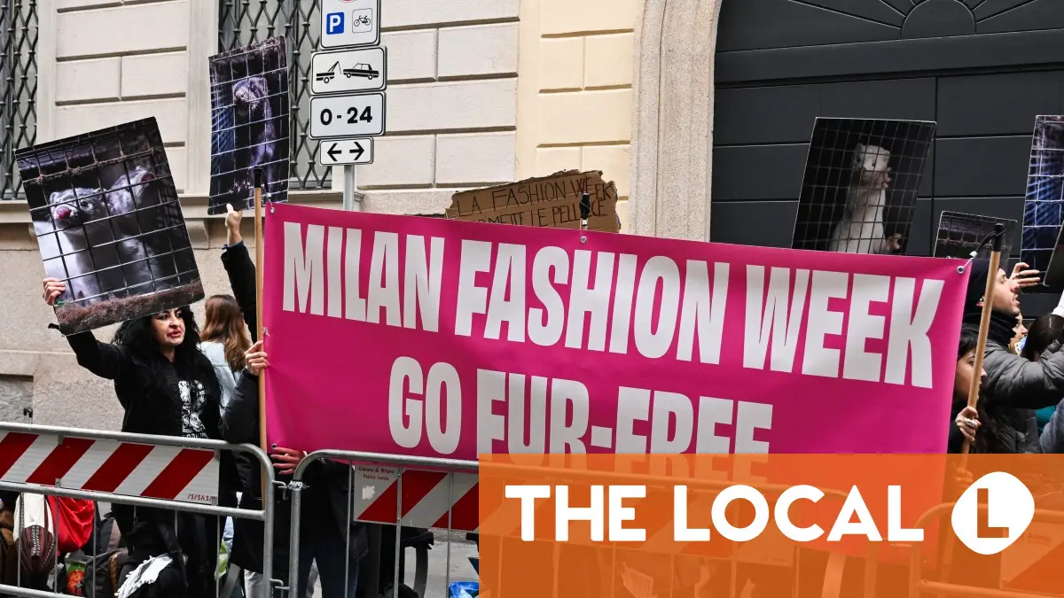 Milan Fashion Week says will ask brands not to show fur