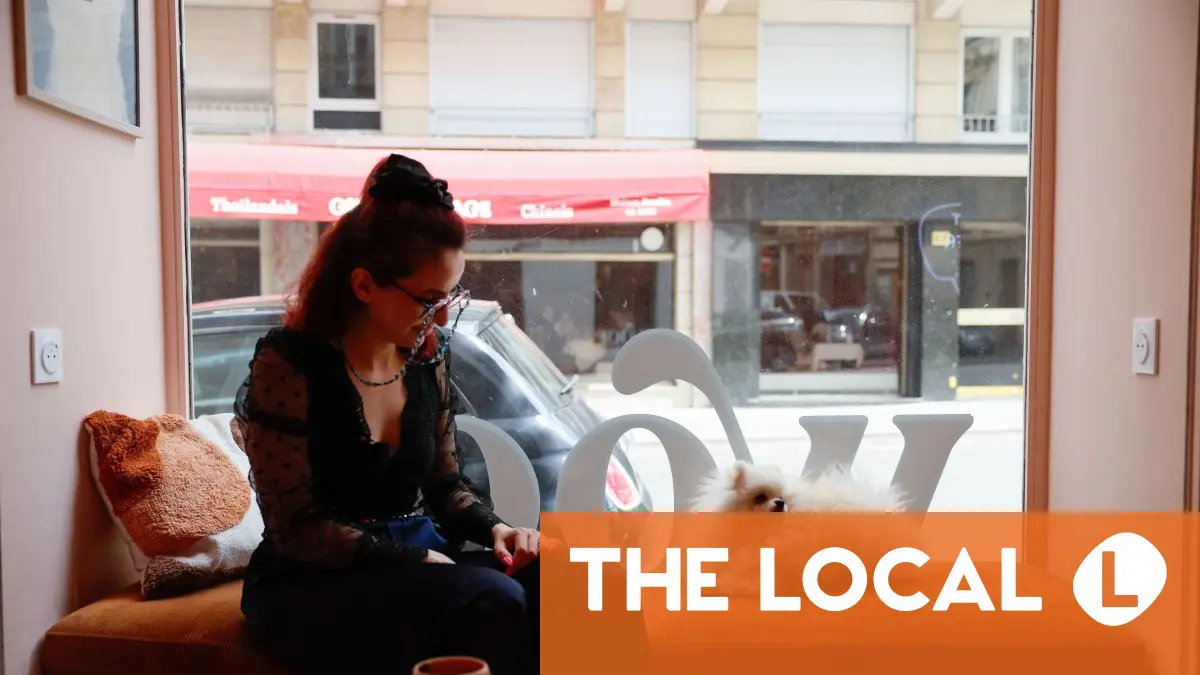 Bone appetit: Paris pups lap up treats at dog-centric spots