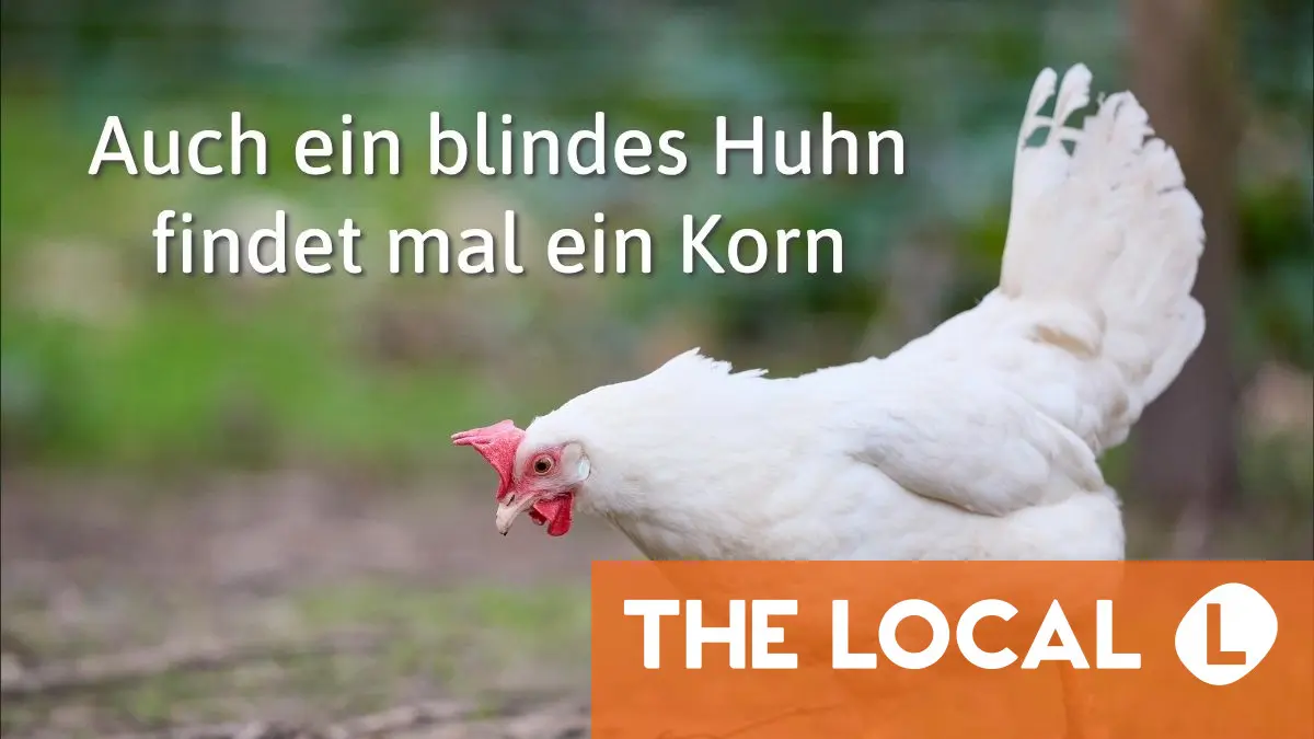 German Expression of the Day: auch ein blindes Huhn findet mal ein Korn