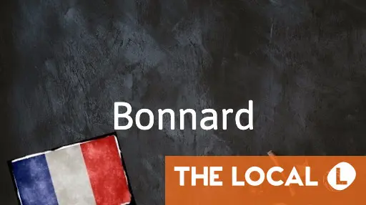 French Word of the Day: Bonnard