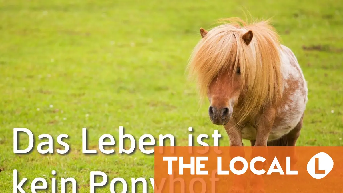 German Expression of the Day: Das Leben ist kein Ponyhof