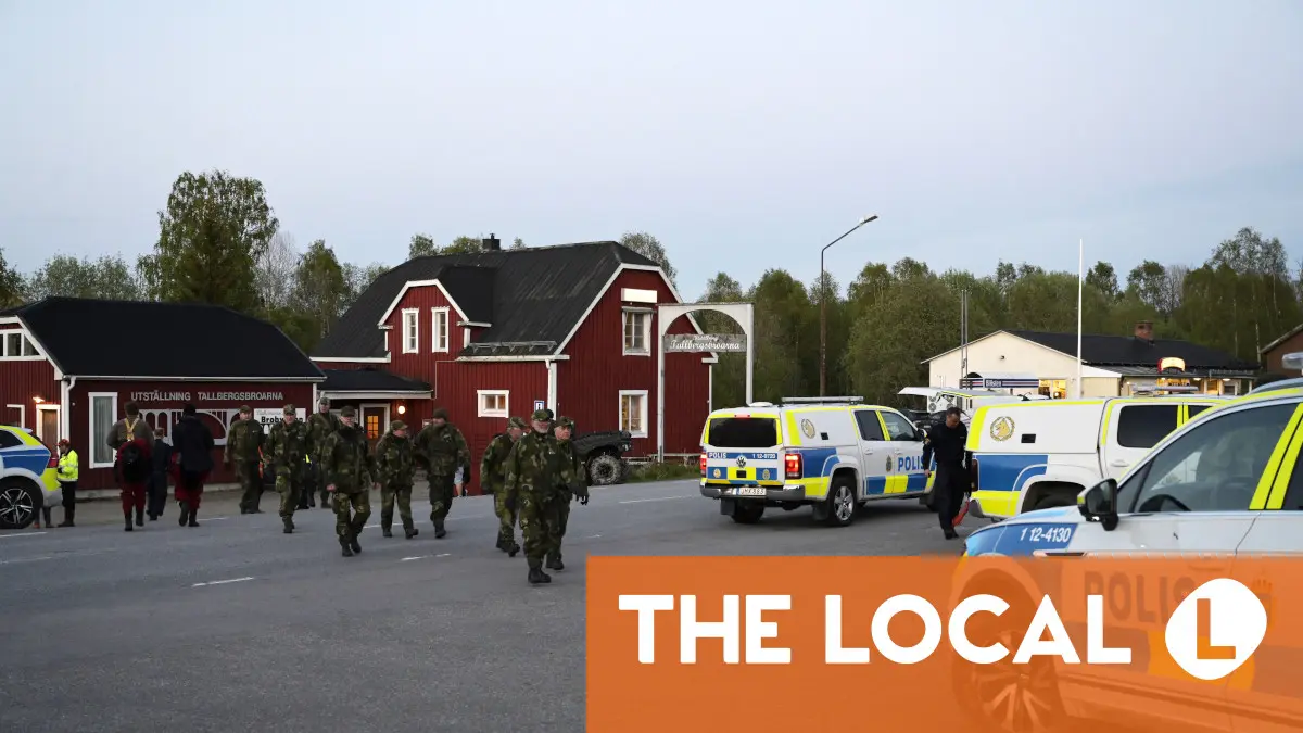 Missing toddler in northern Sweden found alive after over 14 hours