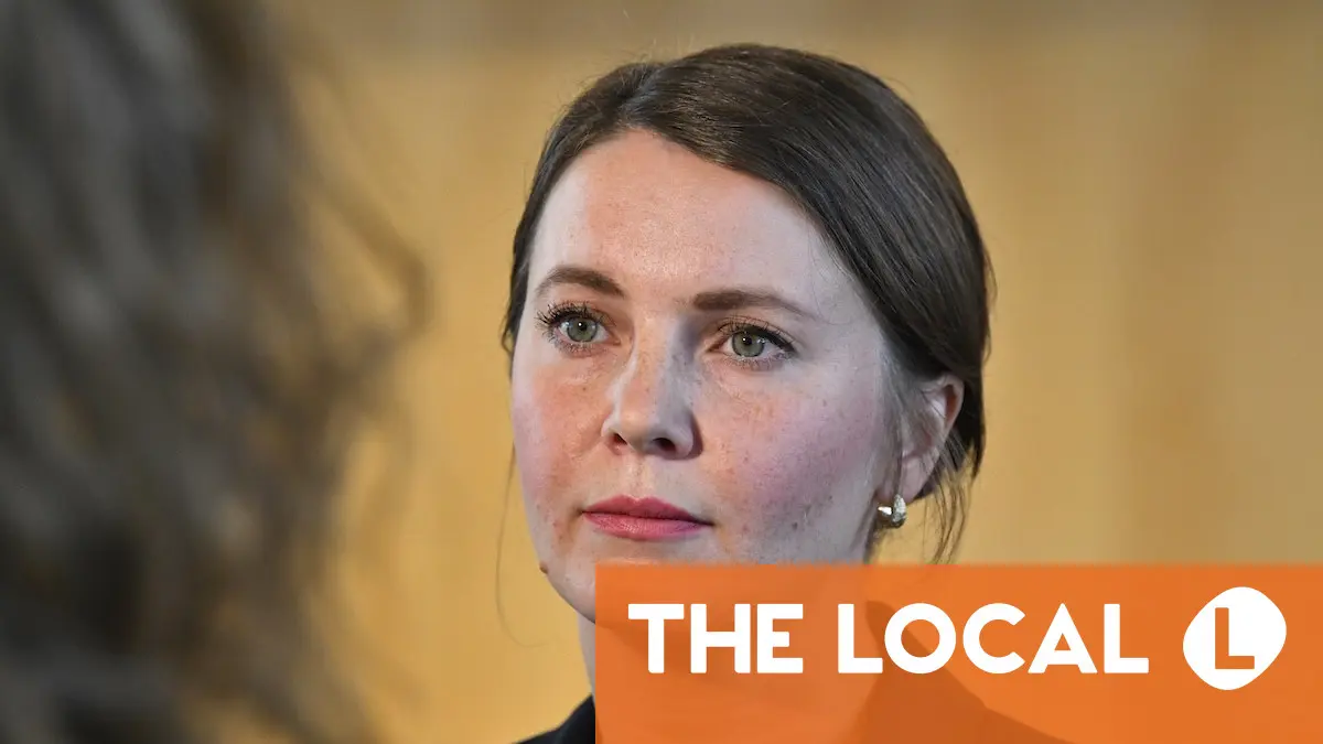 Swedish opposition promises citizenship transition rules if it wins election