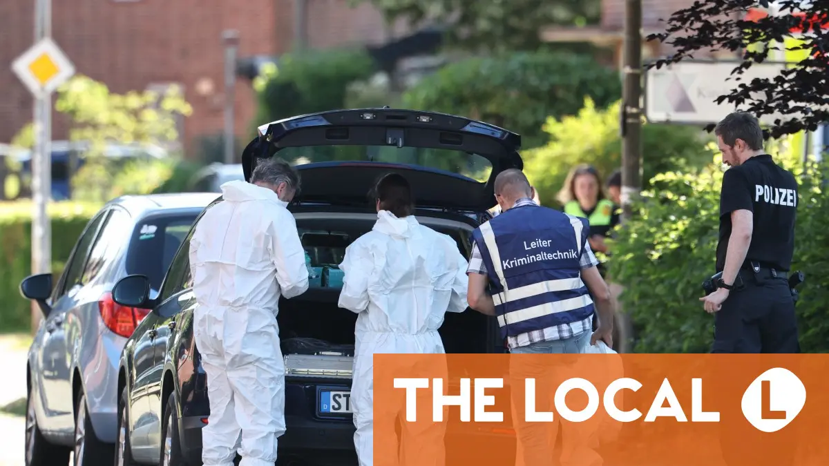 Shooter in custody dispute kills six at German family shelter